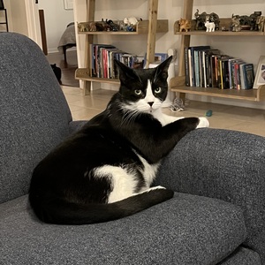 Fundraising Page: Ted Bradford